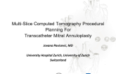 TCT 807: Multislice Computed Tomography Procedural Planning for Transcatheter Mitral Annuloplasty