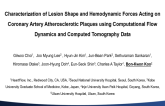 TCT 313: Characterization of Lesion Shape and Hemodynamic Forces Acting on Coronary Artery Atherosclerotic Plaques Using Computational Flow Dynamics and Computed Tomography Data