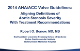 Important Changes in the New 2014 ACC/AHA Aortic Valve Guidelines: Aligning Definitions of Aortic Stenosis Severity with Treatment Recommendations