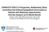 SYMPLICITY HTN-3: A Prospective, Randomized, Sham-Controlled Trial of Renal Sympathetic Denervation in Patients with Refractory Hypertension: 12-Month Results in Subgroups