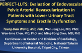 PERFECT-LUTS: Evaluation of Endovascular Pelvic Arterial Revascularization in Patients with Lower Urinary Tract Symptoms and Erectile Dysfunction