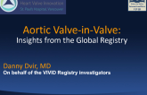 Lessons from the Global Valve-in-Valve Registry