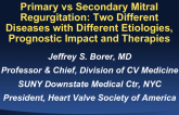 Primary vs Secondary Mitral Regurgitation: Two Different Diseases with Different Etiologies, Prognostic Impact, and Therapies