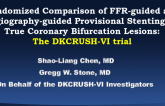 DKCRUSH-VI: A Prospective, Randomized Trial of FFR-Guided Versus Angiography-Guided Provisional T-Stenting in Patients with True Coronary Bifurcation Lesions