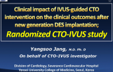 IVUS-CTO: A Prospective, Randomized Trial of Intravascular Ultrasound-Guided Versus Angiography-Guided Drug-Eluting Stent Intervention in Coronary Chronic Total Occlusions