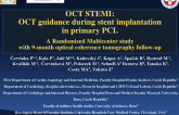 OCT STEMI: A Prospective, Randomized Trial of Optical Coherence Tomography Guidance During Primary Percutaneous Coronary Intervention in Acute Myocardial Infarction