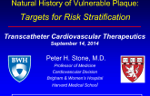 Natural History of Vulnerable Plaque: Targets for Risk Stratification