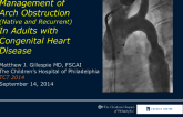 Management of Arch Obstruction (Native and Recurrent) in Adults with Congenital Heart Disease