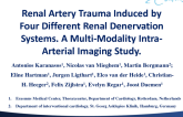 TCT 406: Renal Artery Trauma Induced by Four Different Renal Denervation Systems: A Multimodality Intraarterial Imaging Study