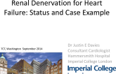 Renal Denervation for Congestive Heart Failure: Status and Case Example