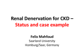 Renal Denervation for Chronic Kidney Disease: Status and Case Example
