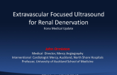 Extravascular Focused Ultrasound for Renal Denervation: Kona Medical Update