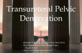 Transureteral Pelvic Denervation
