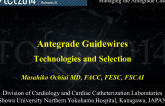 Antegrade Guidewires: Technology and Selection