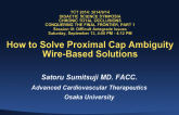 How to Solve Proximal Cap Ambiguity: Wire-Based Solutions