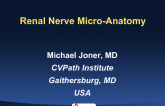 Renal Nerve Microanatomy - The Foundation for RDN Technologies