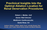 Preclinical Insights Into the Optimal Ablation Location for Renal Denervation Procedures