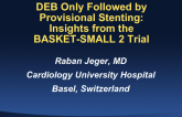 DCB Only Followed by Provisional Stenting: Insights from BASKET-SMALL 2 Trial