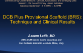 DCB Plus Provisional Scaffold (BRS): Technique and Clinical Results