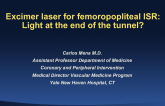 Excimer Laser for Femoropopliteal In-Stent Restenosis: Light at the End of the Tunnel?