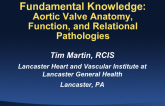 Fundamental Knowledge: Aortic Valve Anatomy, Function, and Relational Pathology