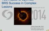 Techniques to Optimize BRS Success in Complex Lesions