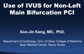Use of IVUS for NonLeft Main Bifurcation PCI