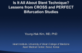 Is It All About Stent Technique? Lessens from CROSS and PERFECT Bifurcation Studies