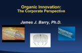 Organic Innovation: Corporate Perspective