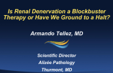 Is Renal Denervation a Blockbuster Therapy or Have We Ground to a Halt?