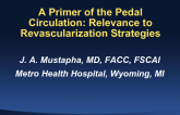 A Primer of the Pedal Circulation: Relevance to Revascularization Strategies