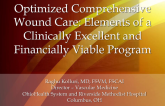 Optimized Comprehensive Wound Care: Elements of a Clinically Excellent and Financially Viable Program