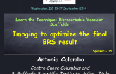 Imaging to Optimize the Final BRS Result