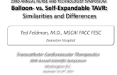 Balloon-Expandable vs Self-Expandable TAVR: Similarities and Differences