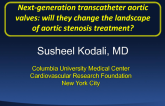 Next-Generation Valves for TAVR