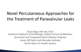 Novel Percutaneous Approaches for the Treatment of Paravalvular Leaks