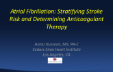 Atrial Fibrillation: Stratifying Stroke Risk and Determining Anticoagulant Therapy