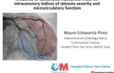 TCT 309: Influence of Subtended Myocardial Mass on Intracoronary Physiology Indices of Stenosis Severity and Microcirculatory Function