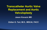 Valvular Heart Disease: Aortic Valvuloplasty and TAVR