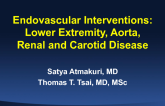 Endovascular Interventions: Lower Extremity, Aorta, Renal, and Carotid Disease