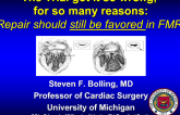 The Trial Got it So Wrong; For So Many Reasons: Repair Should Still Be Favored in Functional MR!