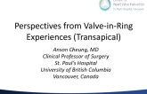 Perspectives from Valve-in-Ring Experiences (Transapical)
