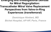 Perspectives from Valve-in-Ring Experiences (Transfemoral)