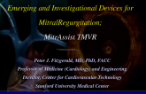 MitrAssist TMVR