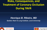 Risks, Consequences, and Treatment of Coronary Occlusion During TAVR