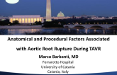Anatomical and Procedural Factors Associated with Aortic Root Rupture During TAVR