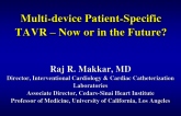 Multi-device Patient-Specific TAVR  Now or in the Future?