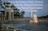 Going to the Source: Early Clinical Results with the Afferently Directed Nonvascular Renal Denervation System (Verve Medical)
