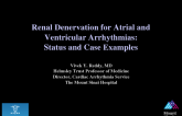 Renal Denervation for Atrial and Ventricular Arrhythmias: Status and Case Examples