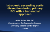 Case #2: Iatrogenic Ascending Aortic Dissection During Primary PCI with a Transradial Approach